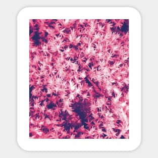 Pink Moss Pattern Sticker